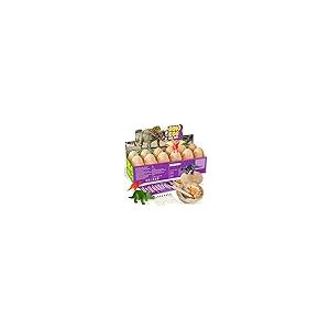 【並行輸入品】SMILESSKIDDO Dinosaur Eggs Excavation Dig Kit 12 Pack Dino Egg_2