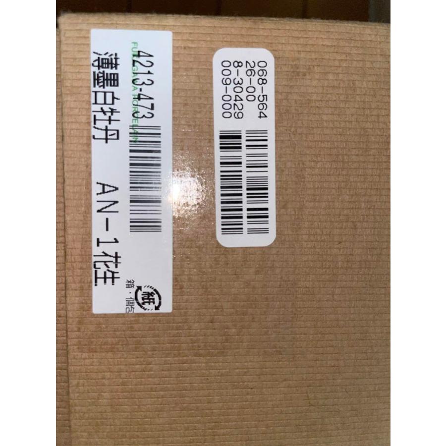 並行輸入品】深川製磁 薄墨白牡丹花生 花瓶 AN 1花生 Fukagawa