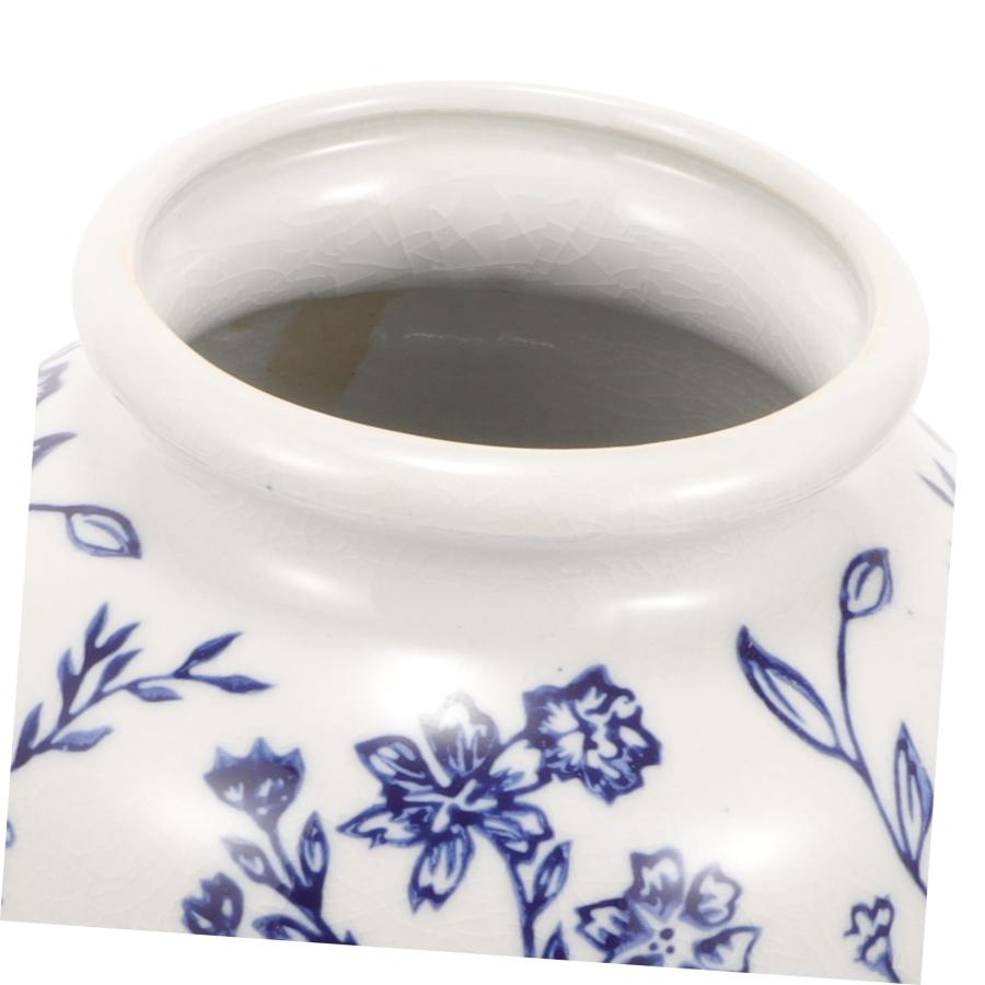 【並行輸入品】LIFKICH Blue and White Porcelain Vase Chinese Floral Vase Feng S_6
