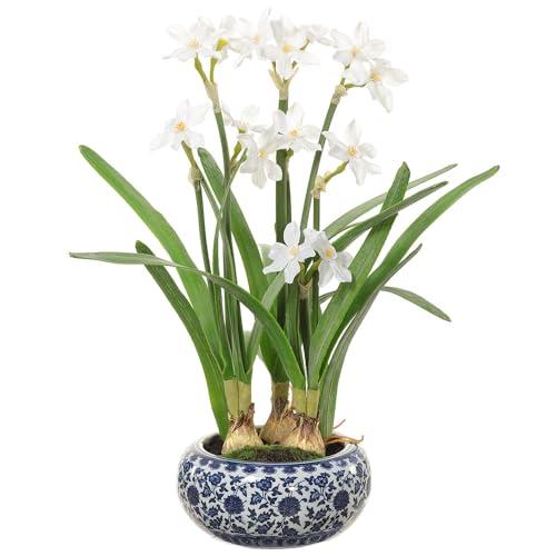 【並行輸入品】22\" Narcissus \u0026 Bulb Silk Flower Arrangement w/Ceramic Vase  Whiの画像
