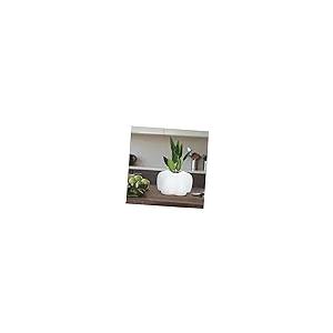 【並行輸入品】IMIKEYA 2pcs Chest Pot Flower Arrangement Vase Female Sculpture_8