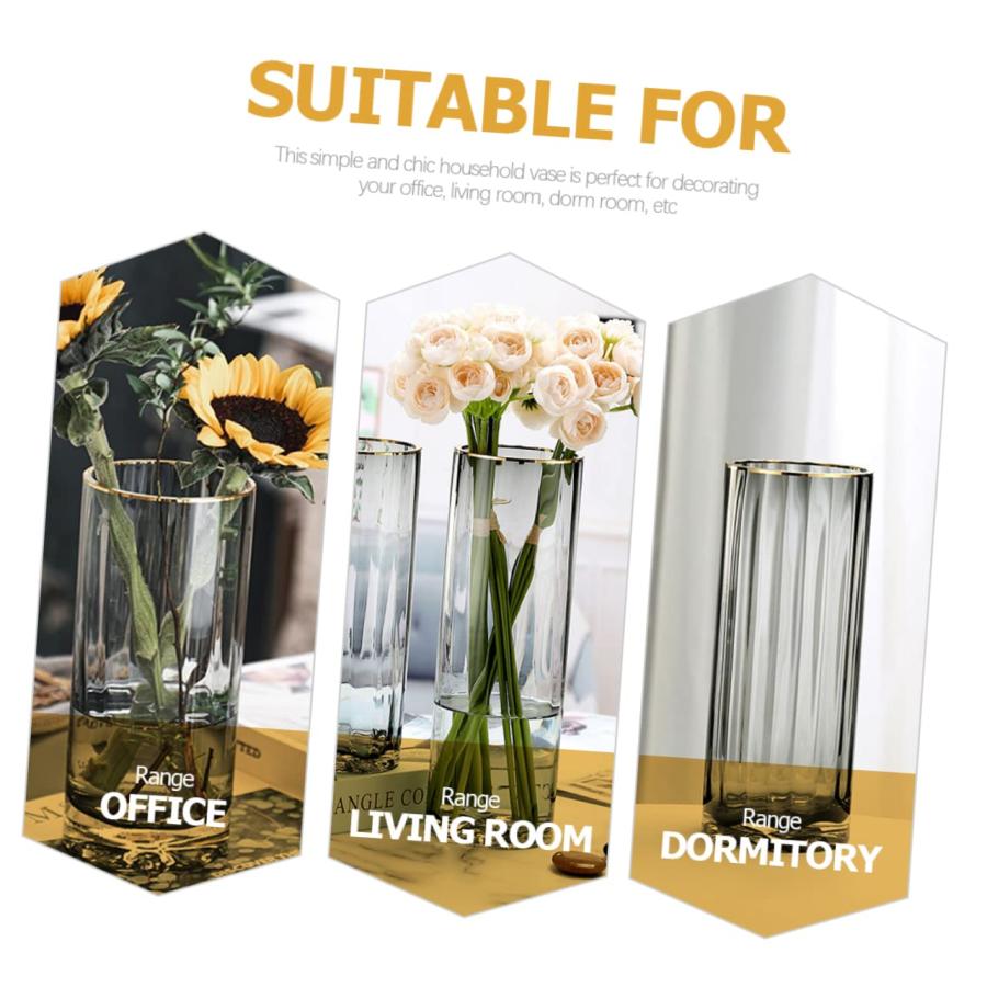 【並行輸入品】PRETYZOOM 2pcs Flower Vase Cylinder Vase Desktop Decor Clear Vas_9