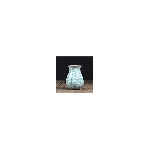 【並行輸入品】Ceramic Mini Vase Hydroponic Tea Plant Creative Home Flower Plugの画像