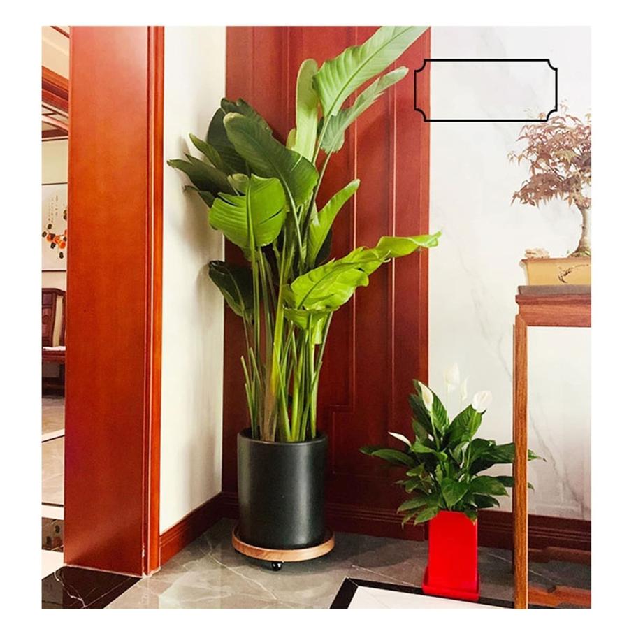 【並行輸入品】Wooden Vase Aquarium Wooden Vase Base Round Movable Flower Pot Bの画像