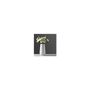 【並行輸入品】工芸品セラミック花瓶装飾リビングルームセラミック花瓶フラワーアレンジメントフェイクフラワーリビングルーム装飾ドライフラワー花瓶 (_8