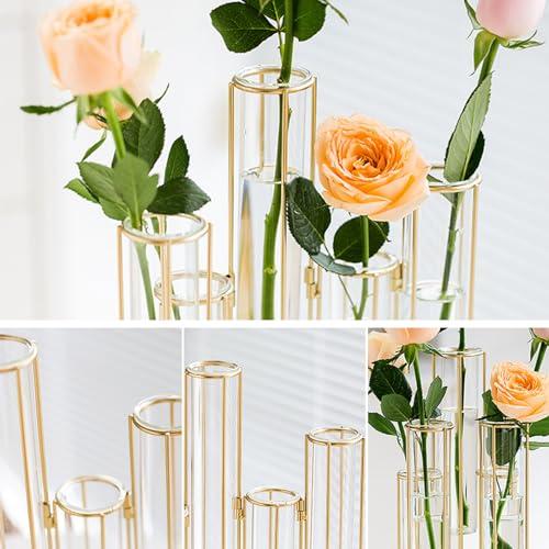 Flower Vase Test Tube Flower Vase with Metal Stand Racks  【灯】 並行輸入品