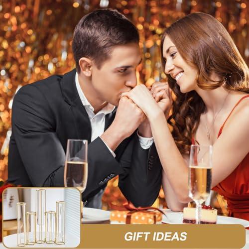 Flower Vase Test Tube Flower Vase with Metal Stand Racks  【灯】 並行輸入品