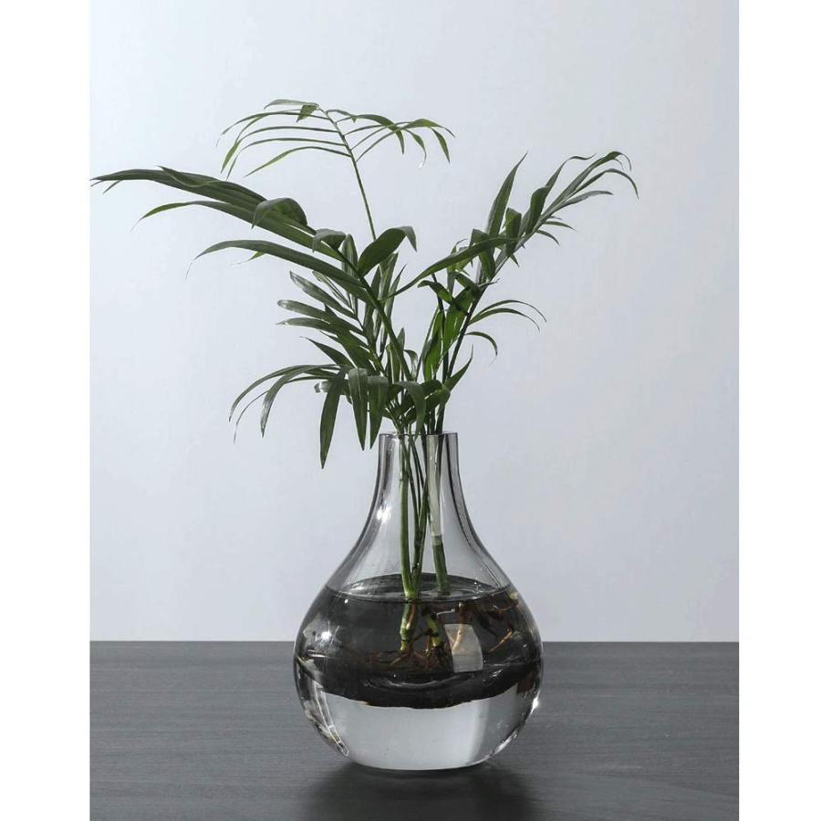 【並行輸入品】Dining Table Vase Light Luxury Glass Transparent Water Growing Dの画像