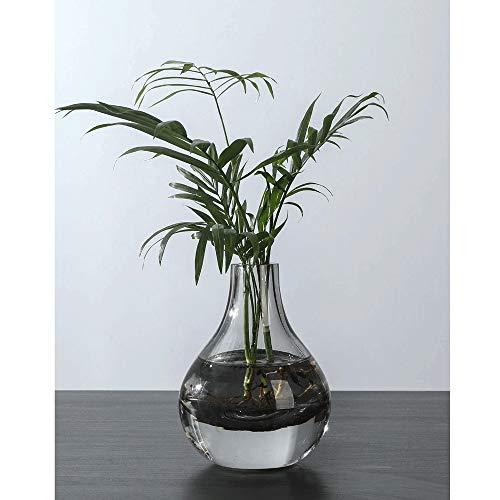 【並行輸入品】Dining Table Vase Light Luxury Glass Transparent Water Growing Dの画像