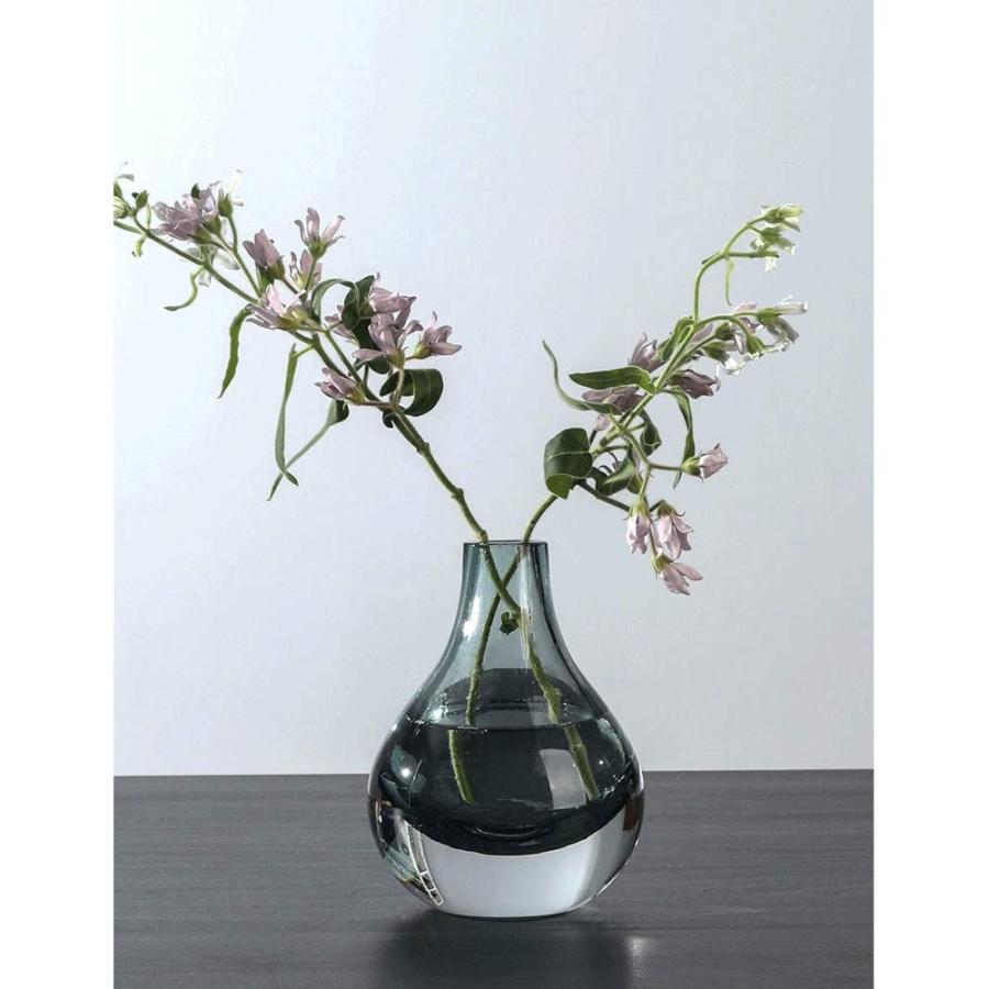 【並行輸入品】Dining Table Vase Light Luxury Glass Transparent Water Growing Dの画像