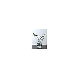 【並行輸入品】Dining Table Vase Light Luxury Glass Transparent Water Growing Dの画像