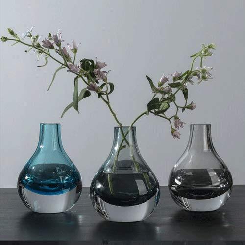 【並行輸入品】Dining Table Vase Light Luxury Glass Transparent Water Growing Dの画像