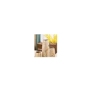 【並行輸入品】CCNGDS Flower Vase for Living Room Flower Vase Golden Ceramic Vaの画像