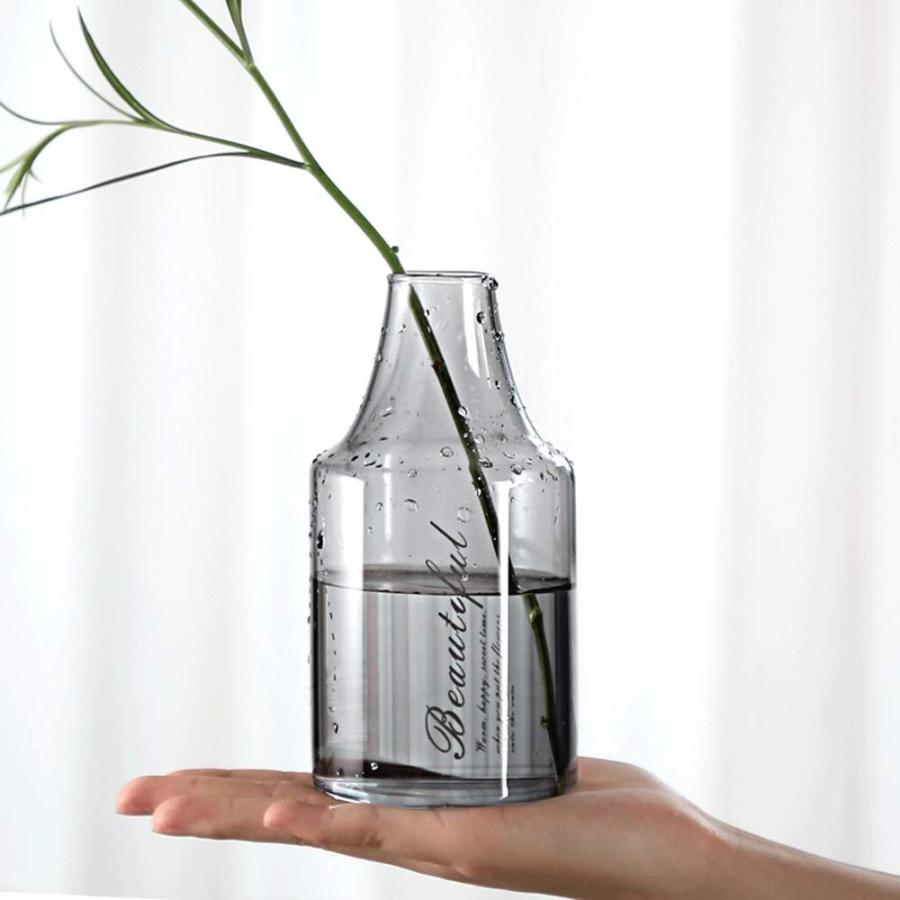 【並行輸入品】Vase Decoration Living Room Flower Arrangement Water Cultivatedの画像