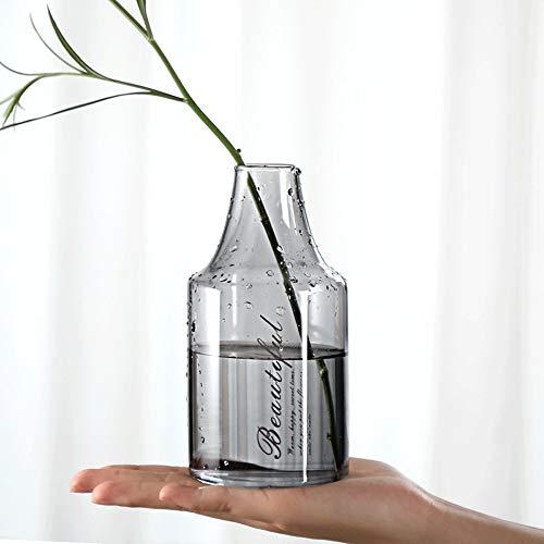【並行輸入品】Vase Decoration Living Room Flower Arrangement Water Cultivatedの画像