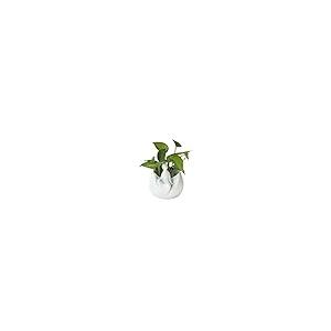 【並行輸入品】Flower Vase Ceramic Vases, Ceramic Monk Flower Ware, Tea Table Fの画像