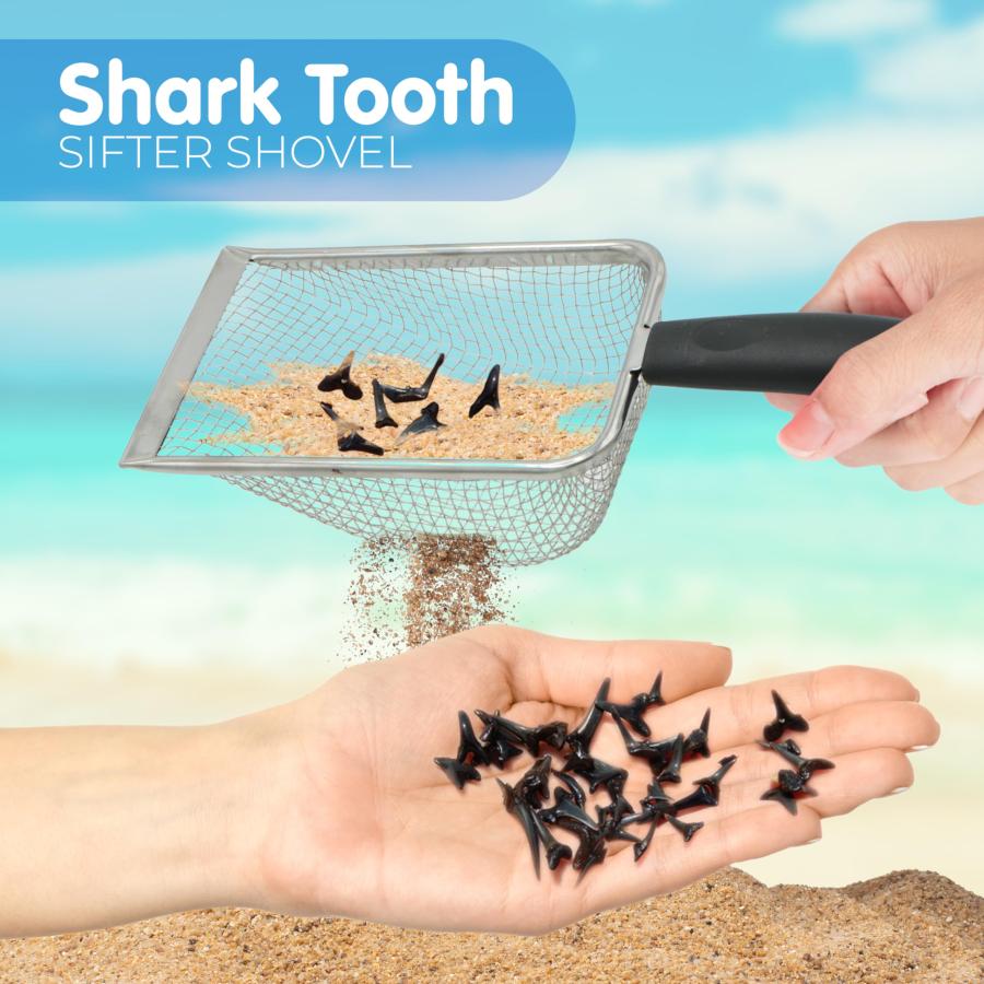 【並行輸入品】4E's Novelty 2X Shark Tooth Sifter for Beach with 2X Small Meshの画像