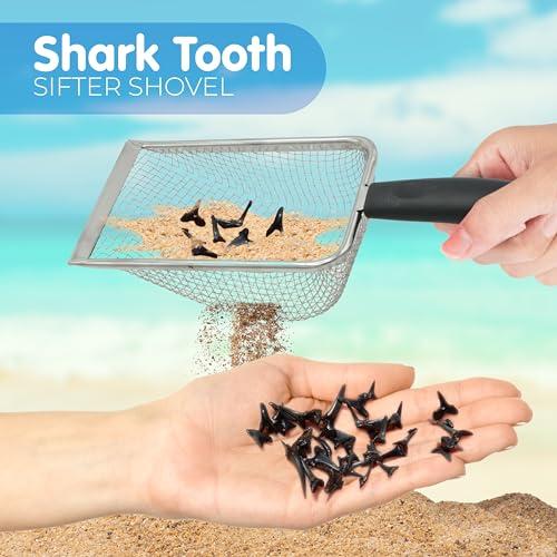 【並行輸入品】4E's Novelty 2X Shark Tooth Sifter for Beach with 2X Small Meshの画像