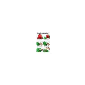 【並行輸入品】Yjcnelcr Educational Puzzle Toy Games Blasting Water Watermelon_5