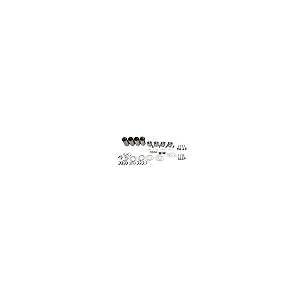 【並行輸入品】SPAKYGIE V2003 Overhaul Rebuild Kit + Connecting Rod + Crankshaf_5