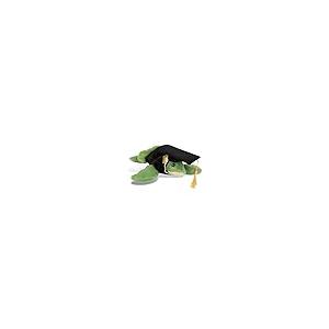 【並行輸入品】DolliBu Green Sea Turtle Graduation Plush Toy   Super Soft Turtlの画像