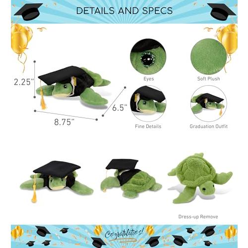 【並行輸入品】DolliBu Green Sea Turtle Graduation Plush Toy   Super Soft Turtlの画像