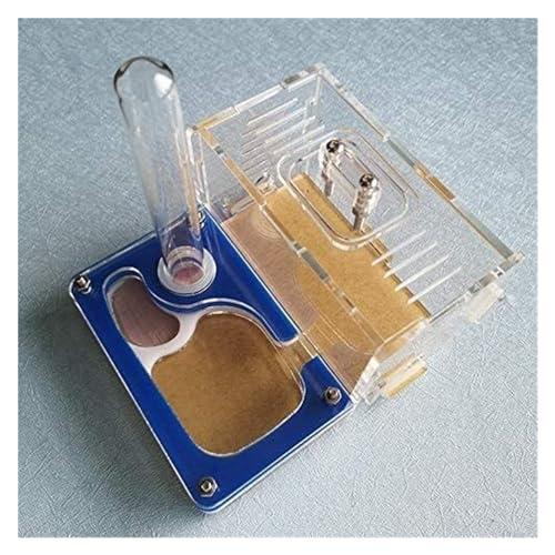 【並行輸入品】Ant Farm Ant Castle Acrylic Activity Area Ant Farm House with Blの画像