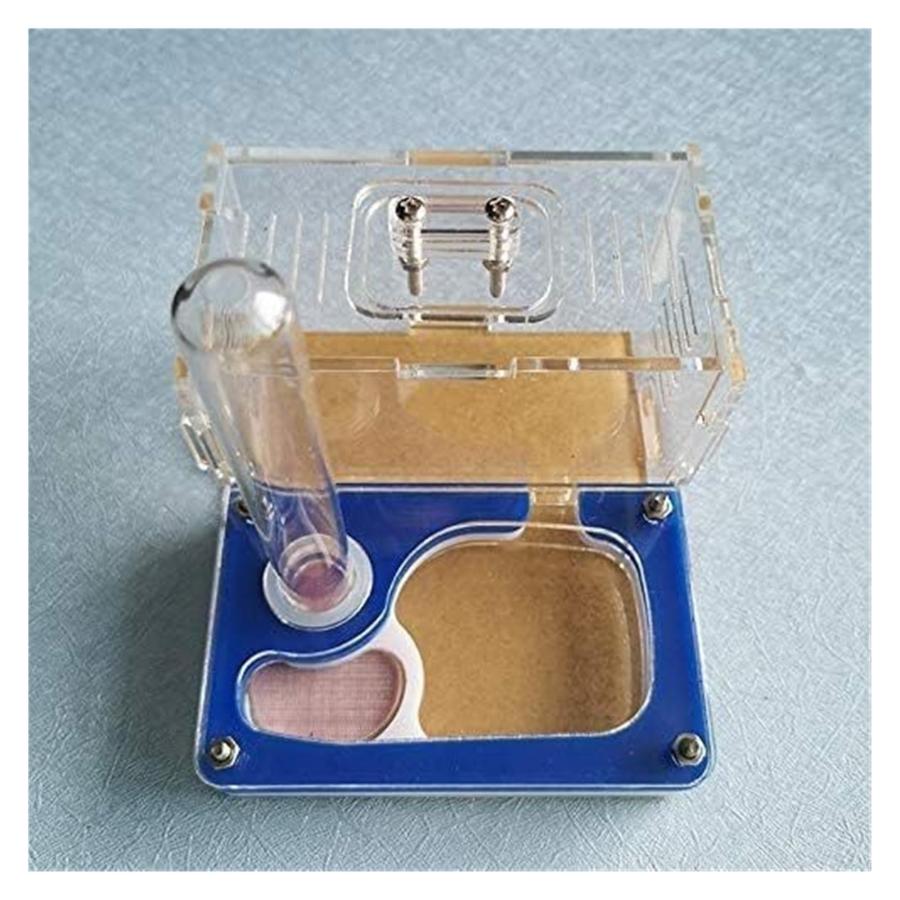 【並行輸入品】Ant Farm Ant Castle Acrylic Activity Area Ant Farm House with Blの画像