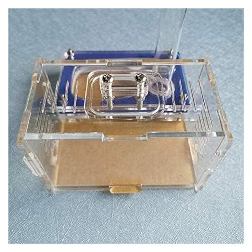 【並行輸入品】Ant Farm Ant Castle Acrylic Activity Area Ant Farm House with Blの画像