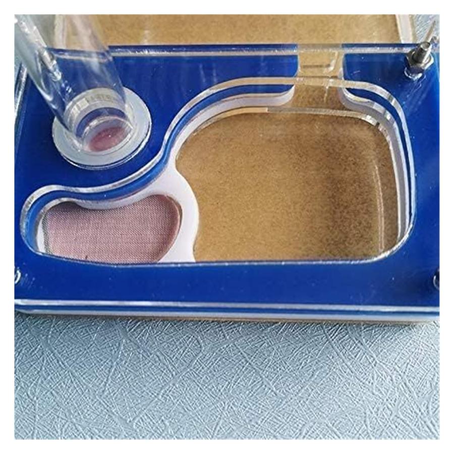 【並行輸入品】Ant Farm Ant Castle Acrylic Activity Area Ant Farm House with Blの画像