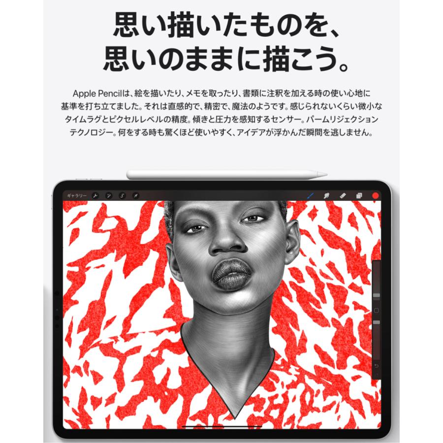 Apple Pencil 第2世代 アップルペンシル 第二世代 MU8F2J/A 新品 Apple Pencil 第2世代 アップルペンシル 第二世代 MU8F2J/A 新品