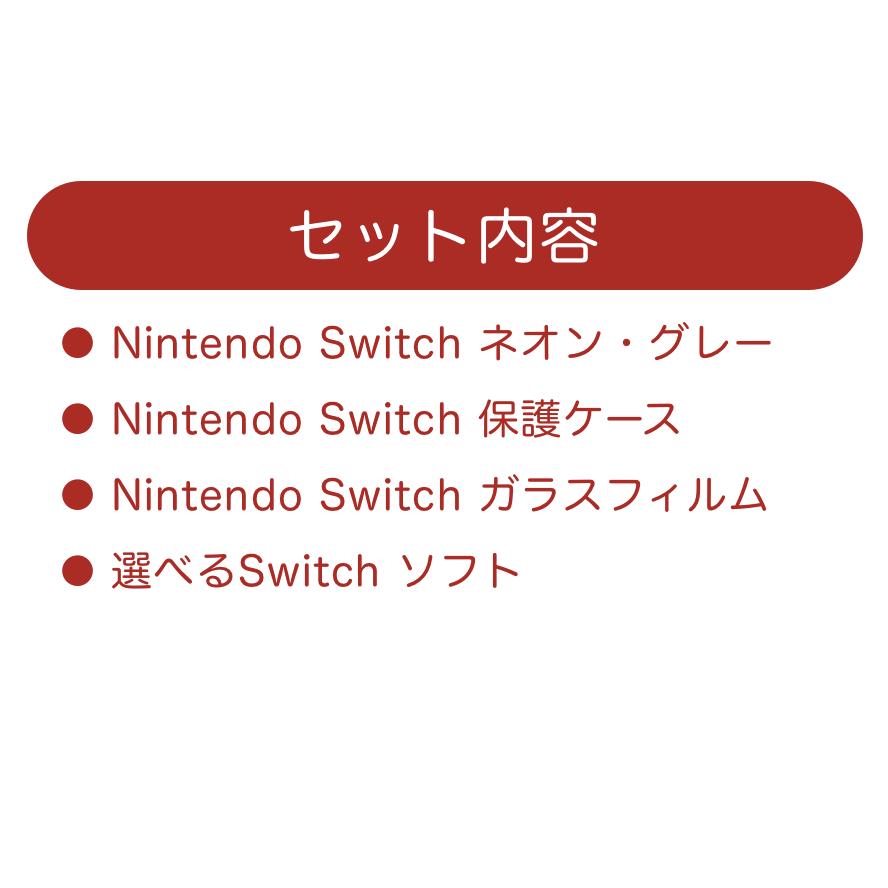 Nintendo Switch 【福袋 4点セット】Nintendo 本体 バッテリー Nintendo Switch 【福袋 4点セット】Nintendo 本体 バッテリー