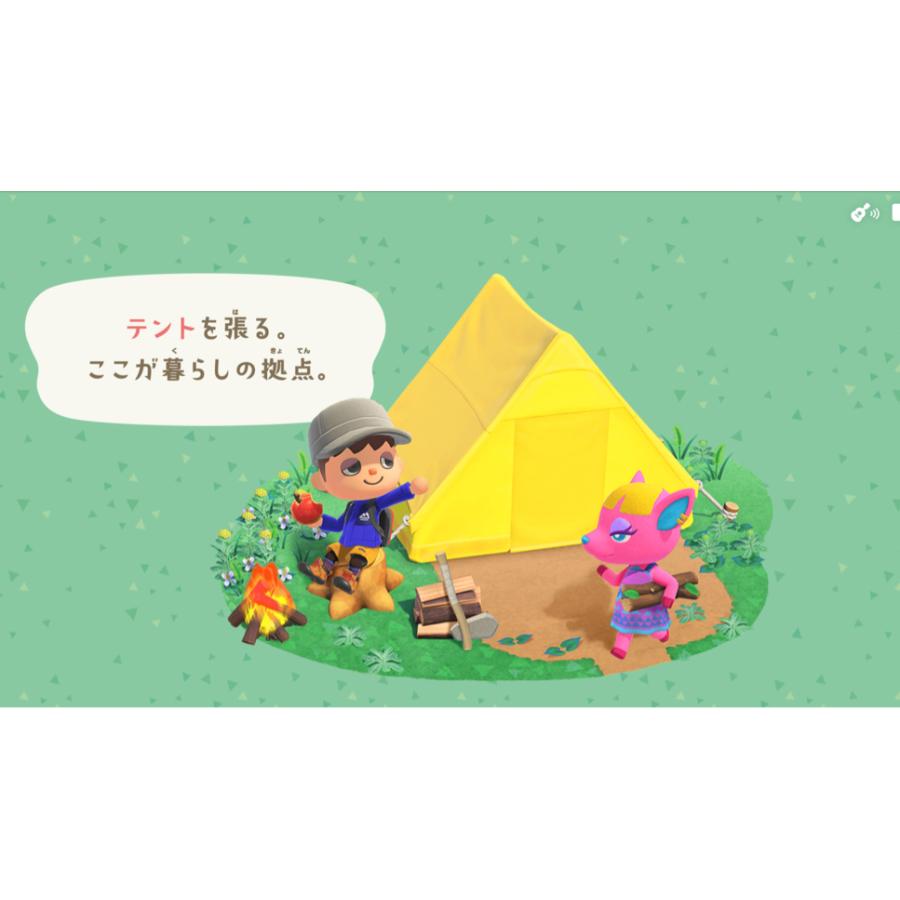 Nintendo Switch あつまれ どうぶつの森セット 任天堂 Nintendo Switch あつまれ どうぶつの森セット 任天堂