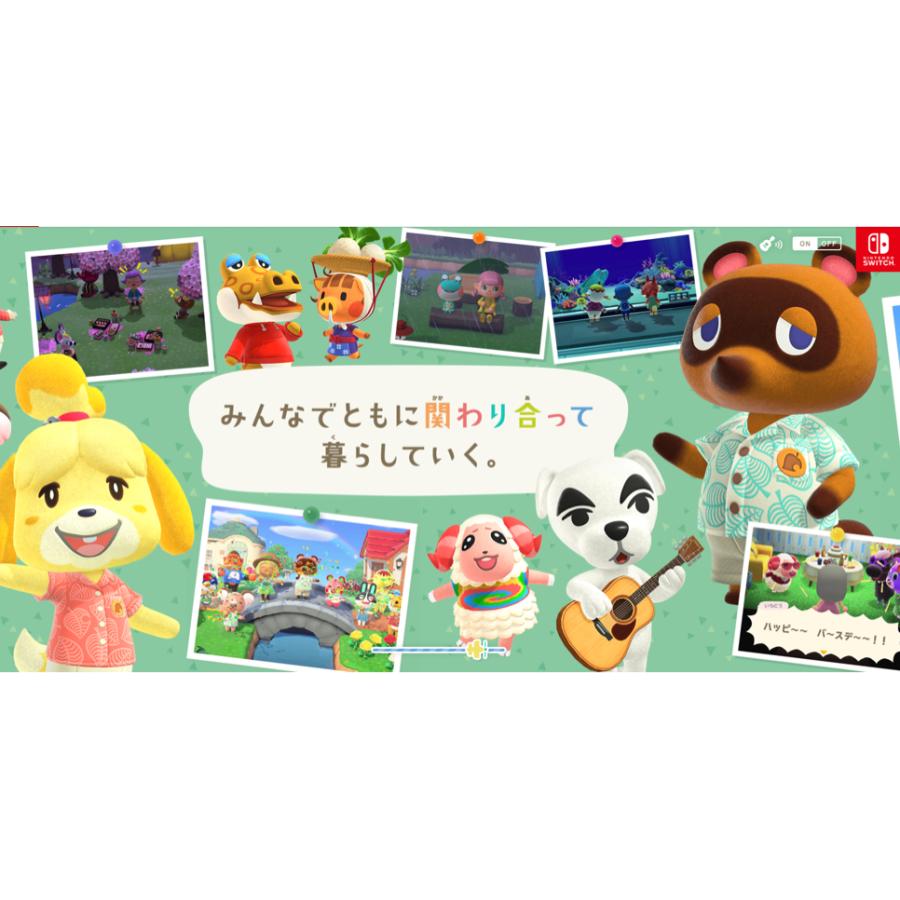 Nintendo Switch あつまれ どうぶつの森セット 任天堂 Nintendo Switch あつまれ どうぶつの森セット 任天堂