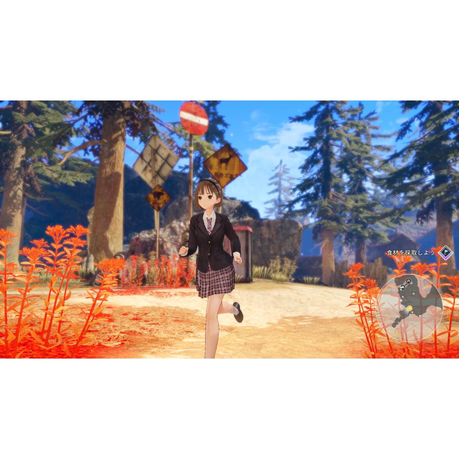 BLUE REFLECTION TIE/帝 [PC/STEAM版] : ALL KEY SHOP JAPAN - 通販