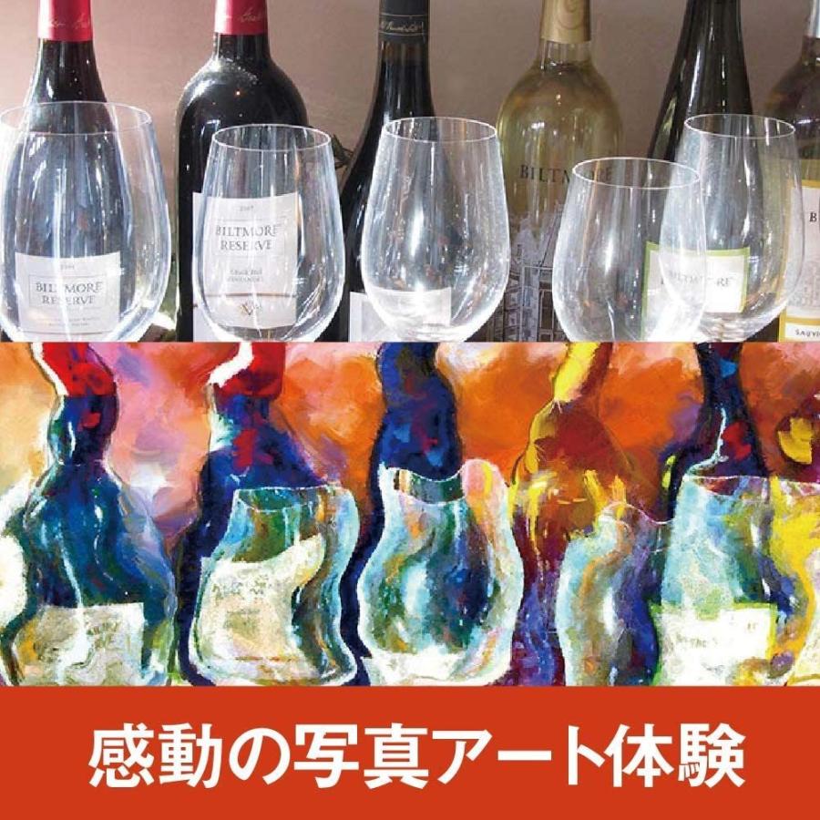 Corel Painter 2020 通常版【ダウンロード版】永続ライセンス Corel Painter 2020 通常版【ダウンロード版】永続ライセンス