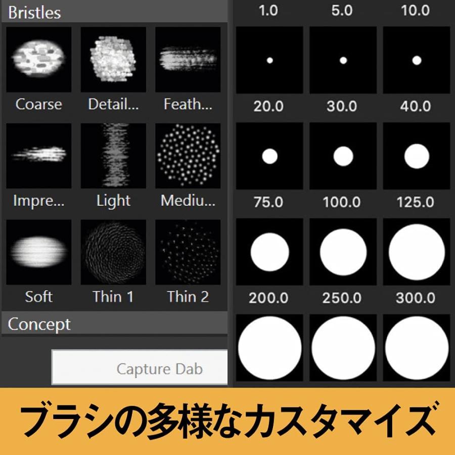 Corel Corel Painter 2022 通常版【ダウンロード版】永続ライセンス