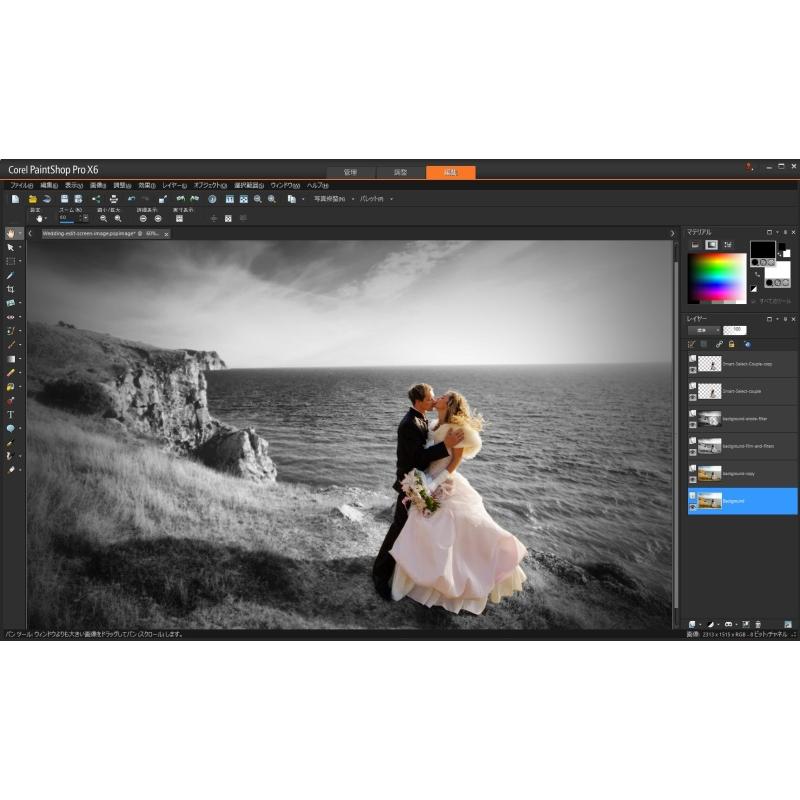 Corel Pro X6【ダウンロード版】永続ライセンス Windows対応 日本語版 / コーレル ペイントショップ