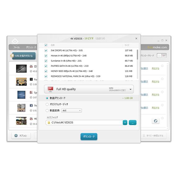 Freemake Video Converter & Video Downloader セット 永久ライセンス Windows対応 [ダウンロード版]｜allkeyshopjapan｜06