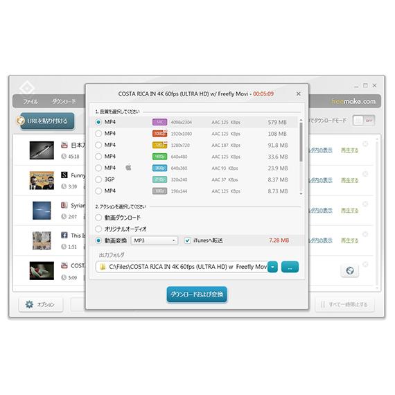 Freemake Video Converter & Video Downloader セット 永久ライセンス Windows対応