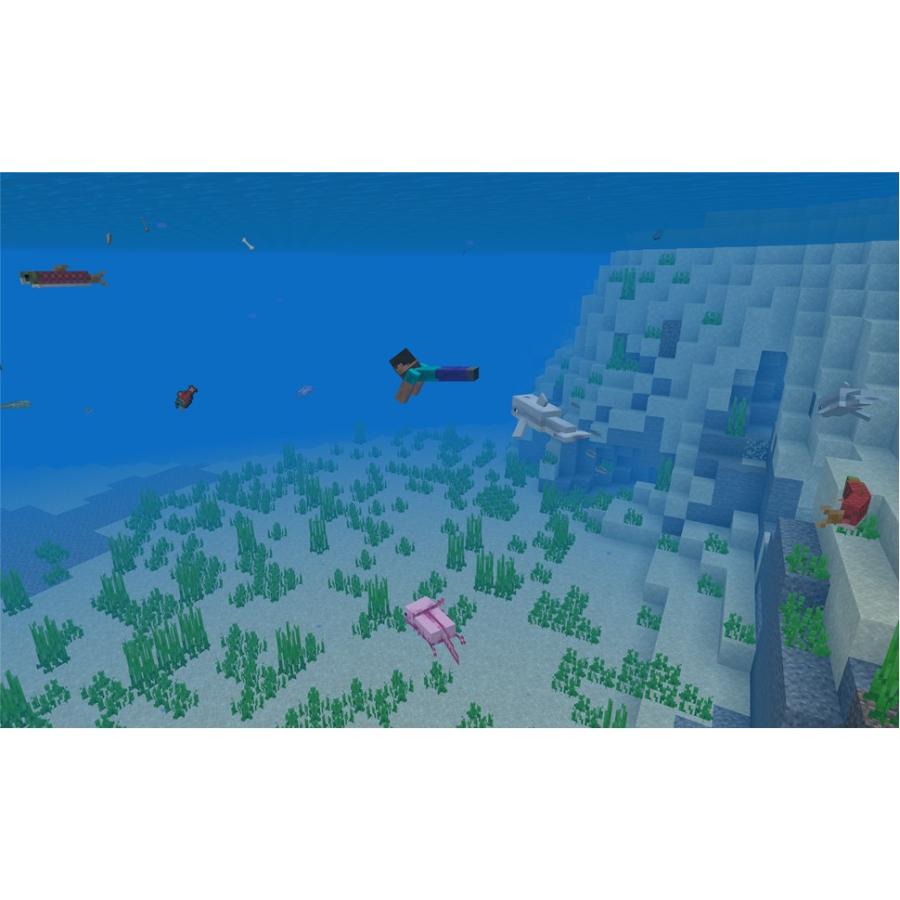 Minecraft: Java & Bedrock Edition for PC Deluxe Collection (オンラインコード版)【国内正規版】｜allkeyshopjapan｜09