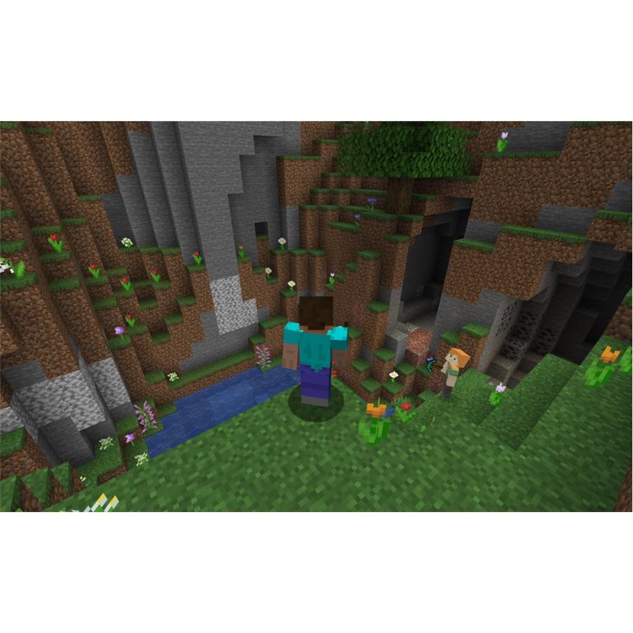 Minecraft javaedition 10枚セット Buy Minecraft Java Bedrock Deluxe Collection (Windows