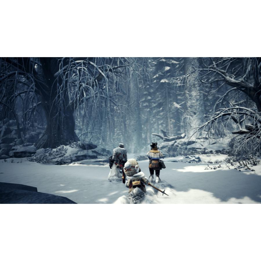 モンスターハンターワールド：アイスボーン（DLC）/ Monster Hunter World: Iceborne [PC / STEAM版] CAPCOM｜allkeyshopjapan｜05