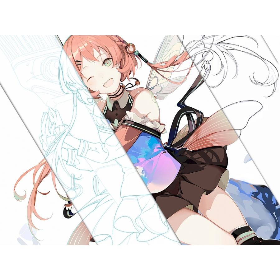 Paintstorm Studio 永続ライセンス 2台版【ダウンロード版】Windows/Mac/Linux対応 / 細かなブラシ設定や便利