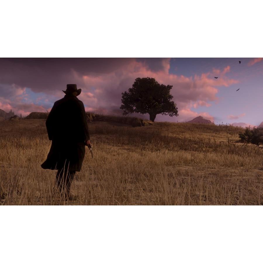 Red Dead Redemption 2 (レッド・デッド・リデンプション2) 日本語