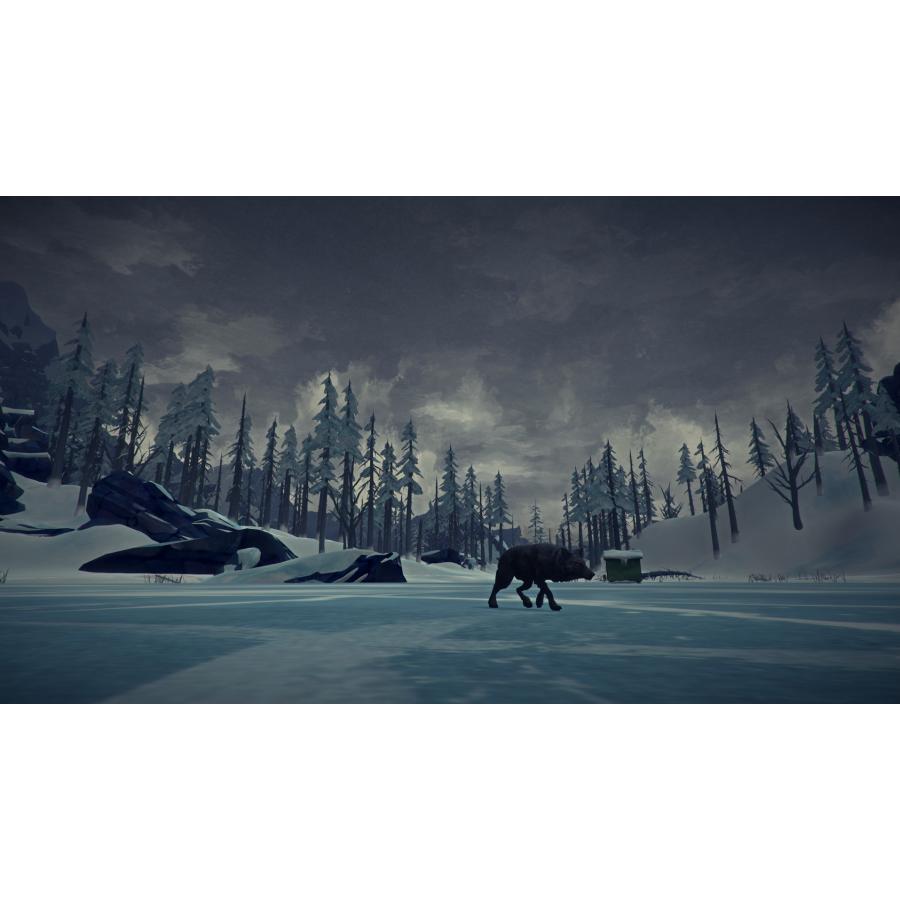 The Long Dark: Survival Edition【PC/Steam版】｜allkeyshopjapan｜11