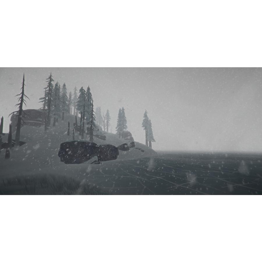 The Long Dark: Survival Edition【PC/Steam版】｜allkeyshopjapan｜03