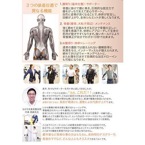 お1人様1点限り Guardner 腰痛ベルト 猫背矯正ベルト ガードナーベルト ダブルxl 安心の国内メーカー販売 非ゴム製で圧倒的腰痛改善力を実現 ダイエット効果 格安 Www Kingfishswimming Com