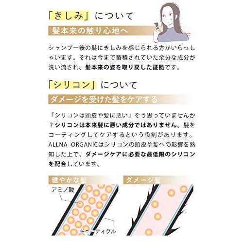 シャンプー トリートメント 無添加 天然由来洗浄 オルナ オーガニック ボタニカル ノンシリコンシャンプー ボタニカル トリートメント ビューティー Ezs Sidecar Com