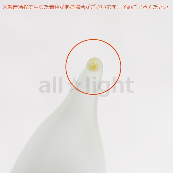 旭光電機工業 アサヒ 曲がりシャンデリア電球 E14口金 フロスト